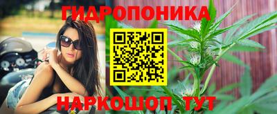 индика Лесосибирск