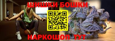 индика Лесосибирск