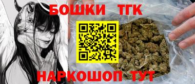 индика Лесосибирск