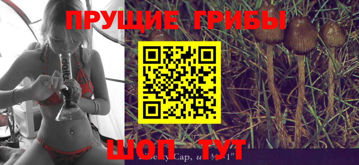 Богородицк  Псилоцибиновые грибы Magic Shrooms  Вход с VPN 
